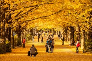Tempat Wisata Di Jepang Yang Romantis Pada Musim Gugur