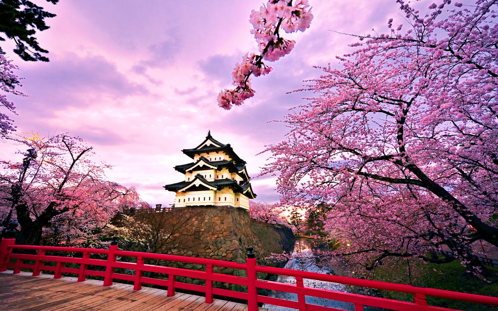 8 Taman Jepang Terbaik Di Tokyo